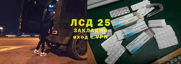 хмурый Аркадак