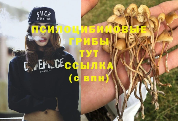 COCAINE Алзамай