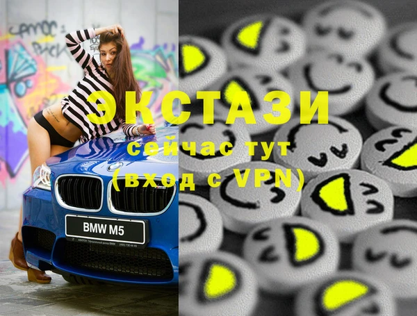 хмурый Аркадак